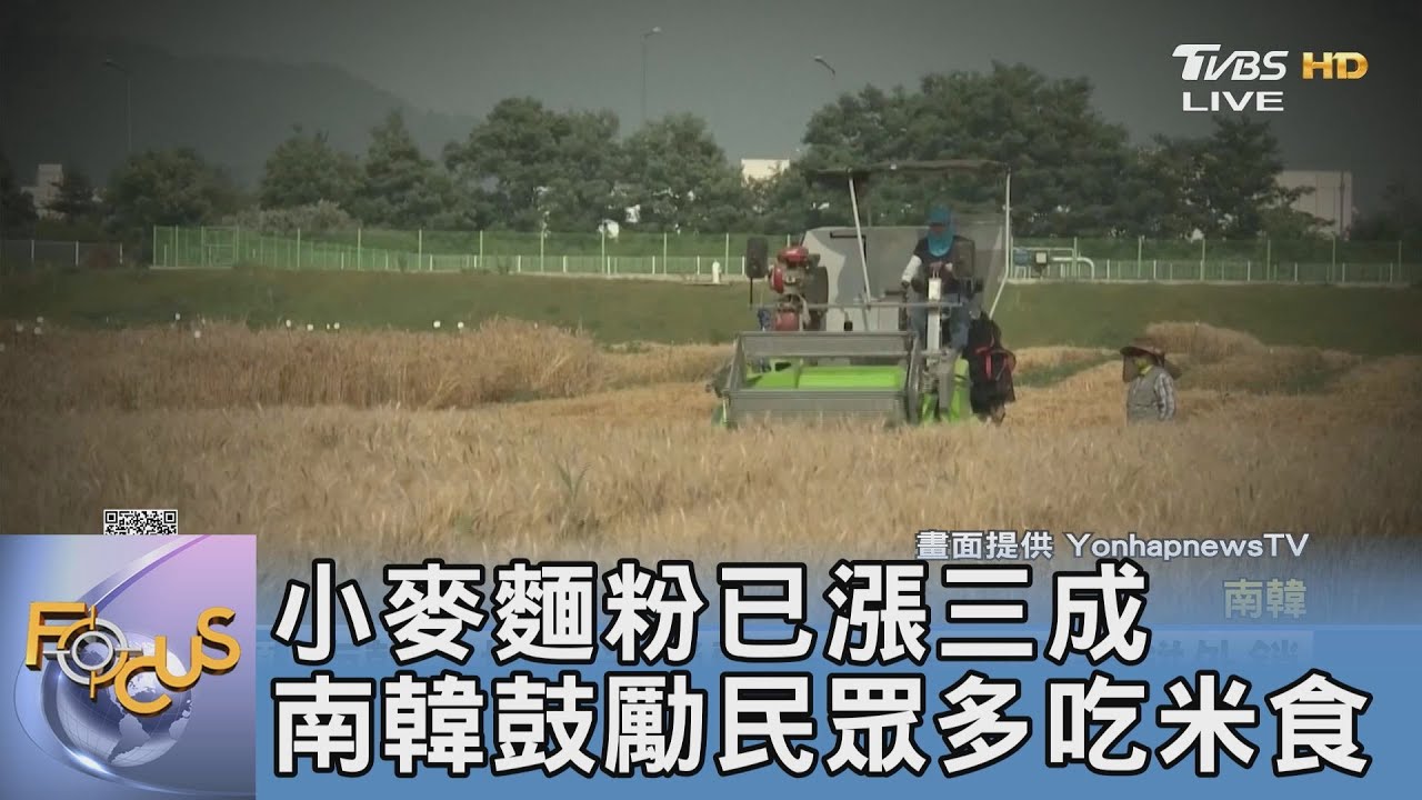 小麥麵粉已漲三成 南韓鼓勵民眾多吃米食