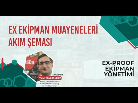 Ex Equipment Inspection Flowchart