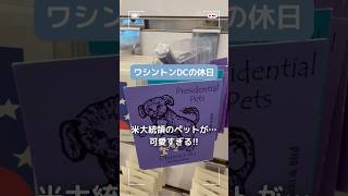 米大統領のペットがまさかのグッズ化!?反則級の可愛さでした…【スミソニアン】#アメリカ生活 #ワシントンdc #海外生活 #アメリカ土産