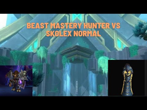 Beast Mastery Hunter Vs Skolex Normal POV 9.2 WoW Shadowlands! Sepulcher of the First Ones. LAD