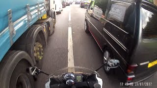 Between dog and wolf...