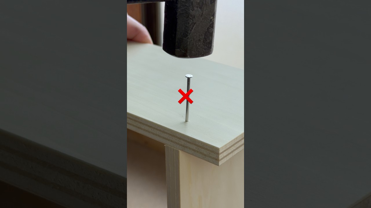 No Nails?! Assembly Shelf #shorts #woodworking #diy