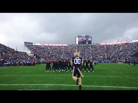 Cosmo and the Cougarettes perform “BIRDWALK”