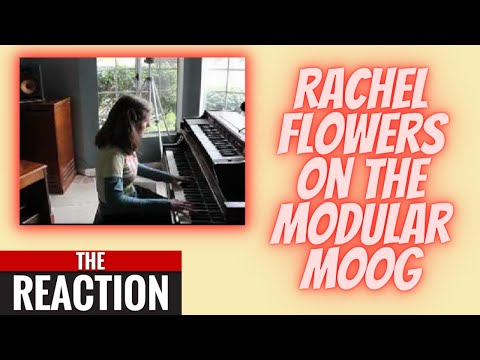 SQUIRREL Reacts to Rachel Flowers on the Modular Moog | OUSTANDING