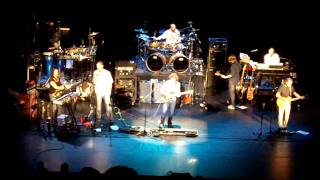 Dancin Fool, Cheepnis, Mr. Green Genes