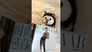 Vlog | Manyu Shooting for a Fashion Magazine - Experiencing a Day as a Star