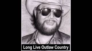 Hank Williams Jr       There&#39;s a Devil In The Bottle
