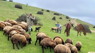 Nomads Children go to School! Arrival of the Autumn and the Reopening of Schools