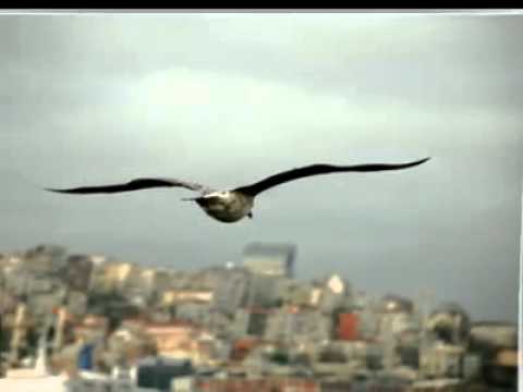 Gülay-Aşk