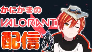 🦀VALORANT🦀コンペするよ！