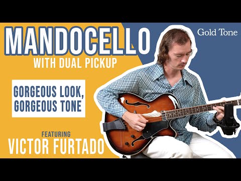 Gold Tone Mandocello Electro Acoustic image 8