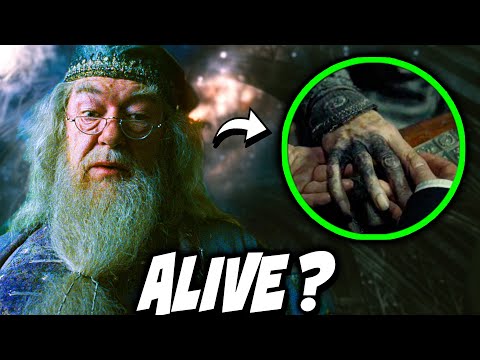 Why Didn't Dumbledore CUT OFF His CURSED Hand? - Harry Potter Theory