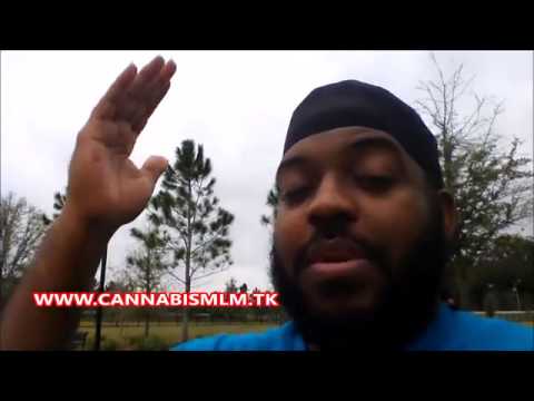 Worlds First Legal Cannabis Hemp MLM Opportuinity Explained! Now Live Review!   YouTube