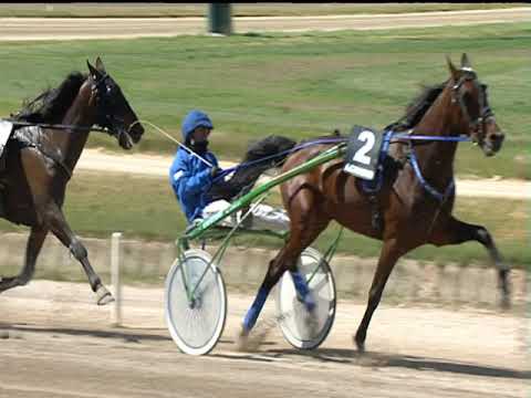 Trotto 30/04/2019 - 3ª corsa