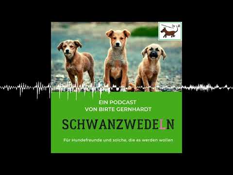 61 Bleibt gesund: Naturheilkunde für Menschen und Hunde - Schwanzwedeln
