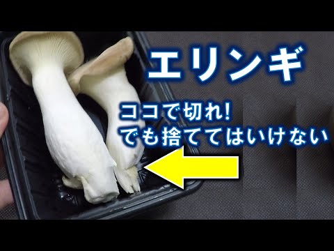一部の種の野生キノコは依然として汚染されている