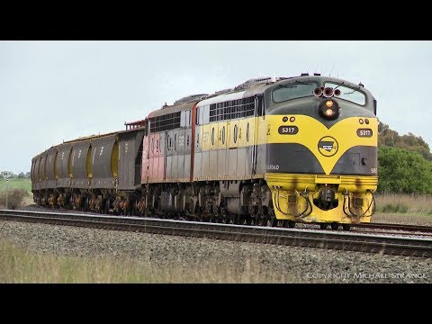 SSR Manangatang To Kensington Grain Train With EMD Diesel Locomotives (2/8/2019) - PoathTV Railways