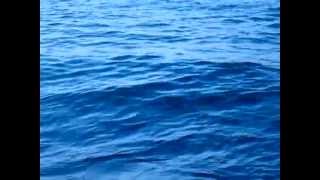 DEEP BLUE DAY by Brian Eno