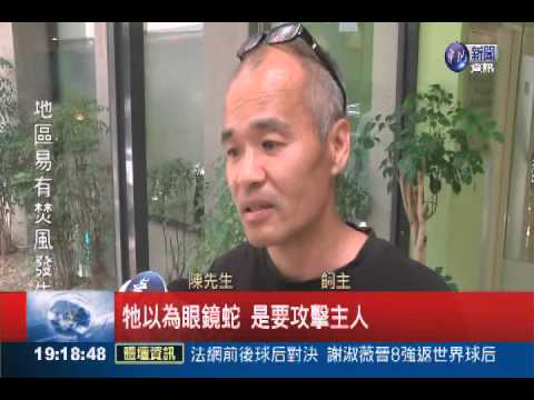 忠狗護主遭蛇咬 血清救人不救狗