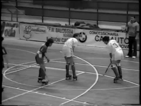 Hockey Novara - Amatori Vercelli 11-3