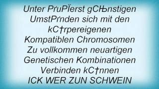 Knorkator - Ick Wer Zun Schwein Lyrics