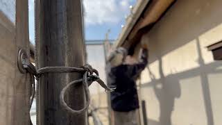 動画サムネイル