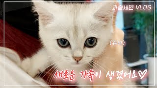 나에 대한 추측읽기 Watch HD Mp4 Videos Download Free