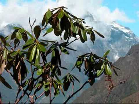 Enigma - the Eyes of Truth