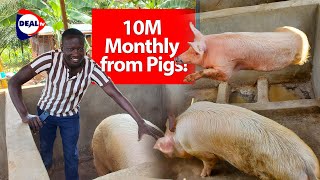 Download lagu How to Make 10M Monthly from Piggery Farming in Uganda 🐷 | Full Guide to Profitable Pig Farming mp3