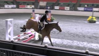 preview picture of video 'New England Equitation Championships By Peacock Feather Video'