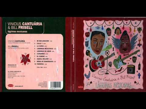 Vinicius Cantuária & Bill Frisell -- Lágrimas Mexicanas - El Camino
