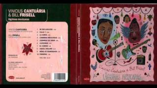 Vinicius Cantuária & Bill Frisell -- Lágrimas Mexicanas - El Camino