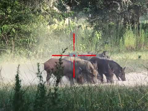 ATN X-Sight 4K BuckHunter - Dual Stream Video Recording