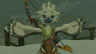 #8 にわかゼルダーのティアキン実況
