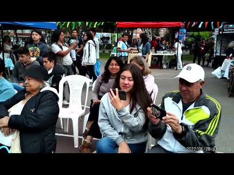 AlmaCondor - Sanjuanito de la Alegría ( grupo libertad) cover