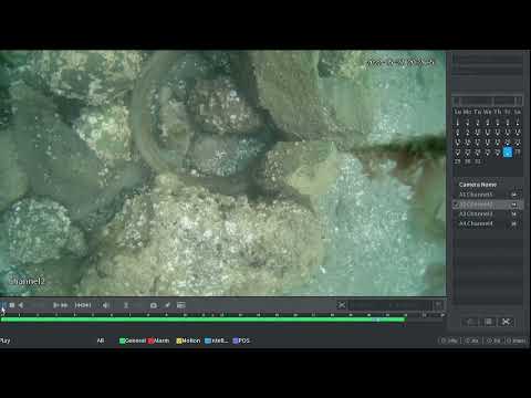 2022 05 27 seal underwater cam