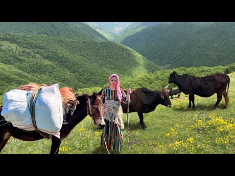 Taking Cows to the Yaylag (Grassland) through the Rivers and Mountains