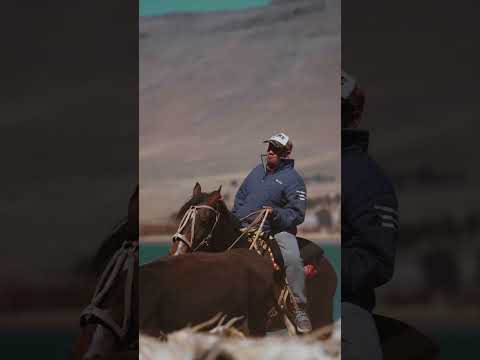 Trashumancia en la cordillera 🐐 | Cultura viva en Caviahue