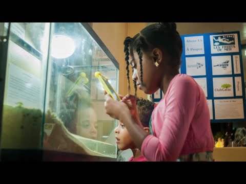 A museum to tell the story of St. Martin