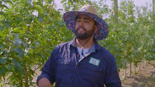 Intern at Innov8Ag I Smart Orchard I Washington Grown