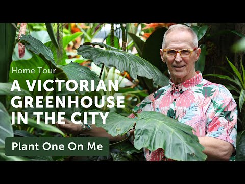 A VICTORIAN CONSERVATORY TOUR in Philadelphia — Ep. 269