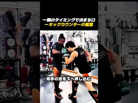 圧倒的な反射神経！芸術的なタイミングのローキックカウンターテクニックがエグい