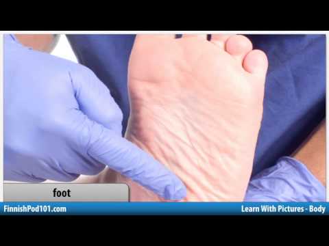 Learn Finnish with Pictures - All Parts of the Body