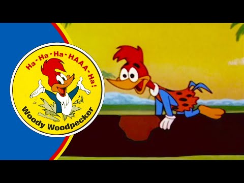 History of the Woodpeckers!  | Woody Woodpecker