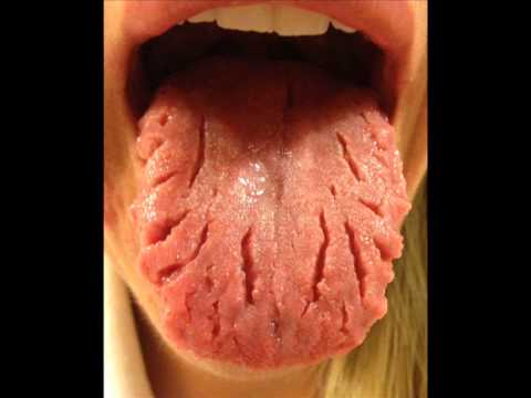 Ali B, Kamikazes & Prezident - Uterus