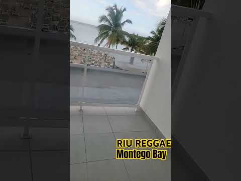Videos del Riu Reggae 5★ en Montego Bay, Jamaica
Ver Más
Ver
Precios
21
Cerrar
Consulta por Whatsapp 🇦🇷
Booking
Tripadvisor
Expedia
Agoda
Travelocity
Orbitz
Priceline
Trip
Skyscanner
Despegar
Kayak
Hoteles
Bestday
Destinia
Trivago
Turismocity
Almundo
Lastminute
Hotwire
Tui
Wotif

