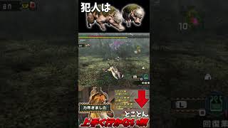 標的との戦闘に巻き込まれたモスに全て壊される【MHP2g】