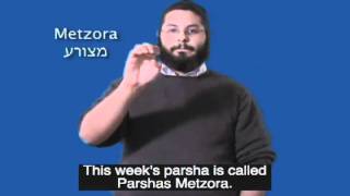 Parshas Metzora
