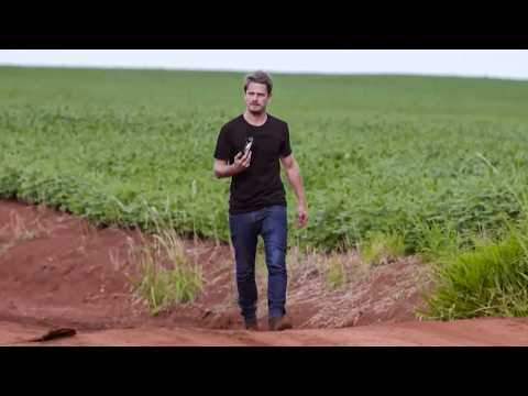 Soy's Dirty Secret | How this Food is Killing You