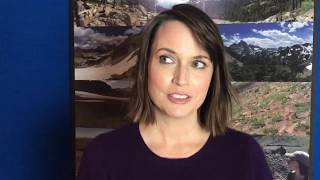 Julie Ann Emery - Dear Diabetes